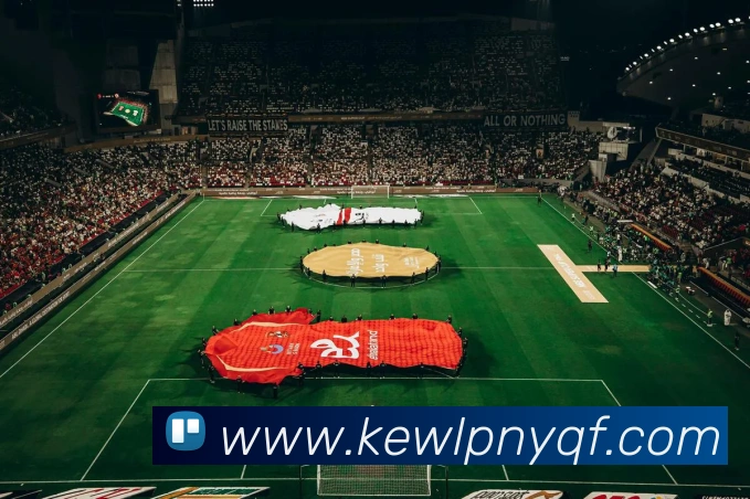 登录器